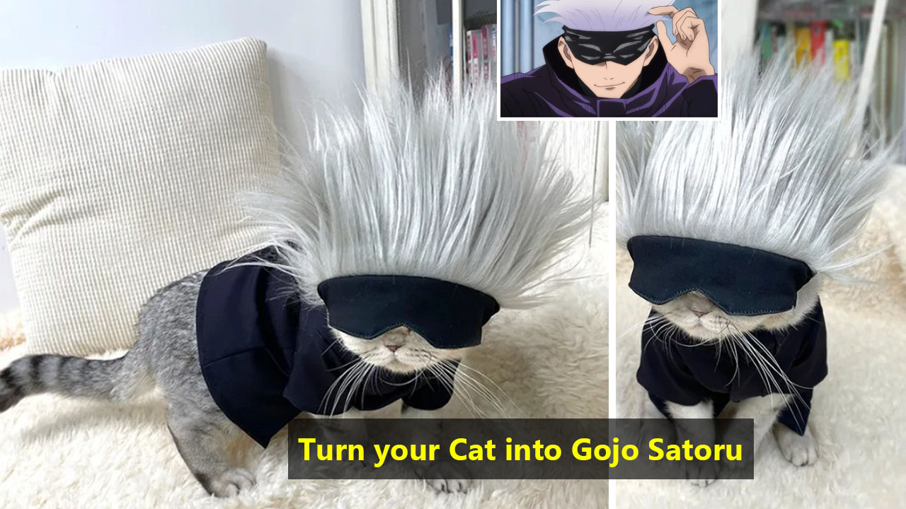 gojo cat pillow