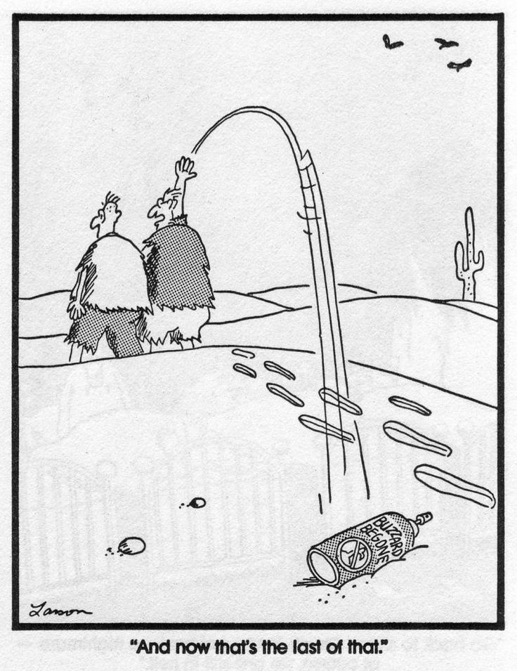 20 Far Side Spider Cartoon By Gary Larson - Now Wakeup