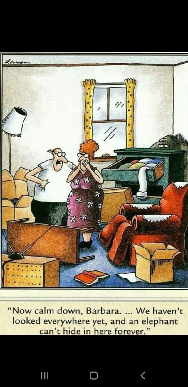 Top 20 The Far Side Comics That Will Make you Feel Good For Sure - Now
